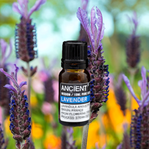 French Lavender Essential Oil