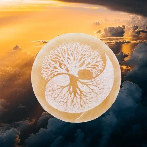 Orange Selenite Tree of Life Charging Plate