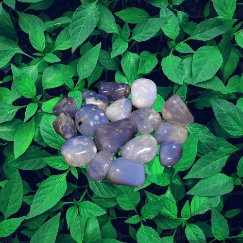 Blue Chalcedony Tumble