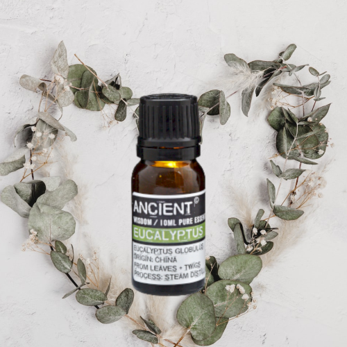 Eucalyptus Essential Oil