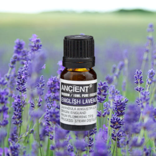 English Lavender Essential Oil