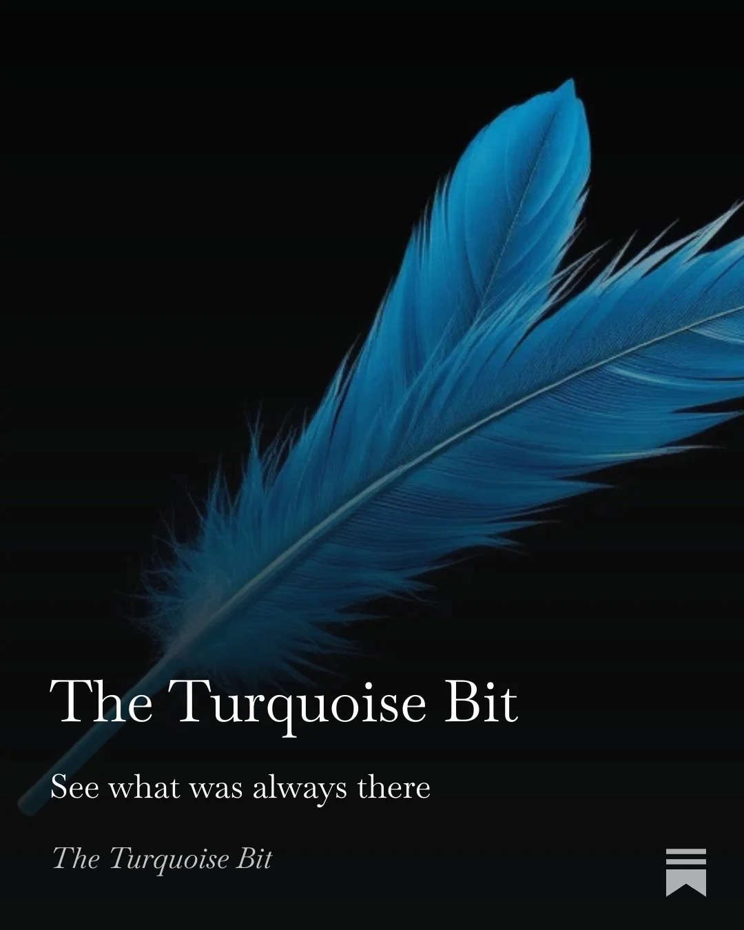 Introducing the Turquoise Bit