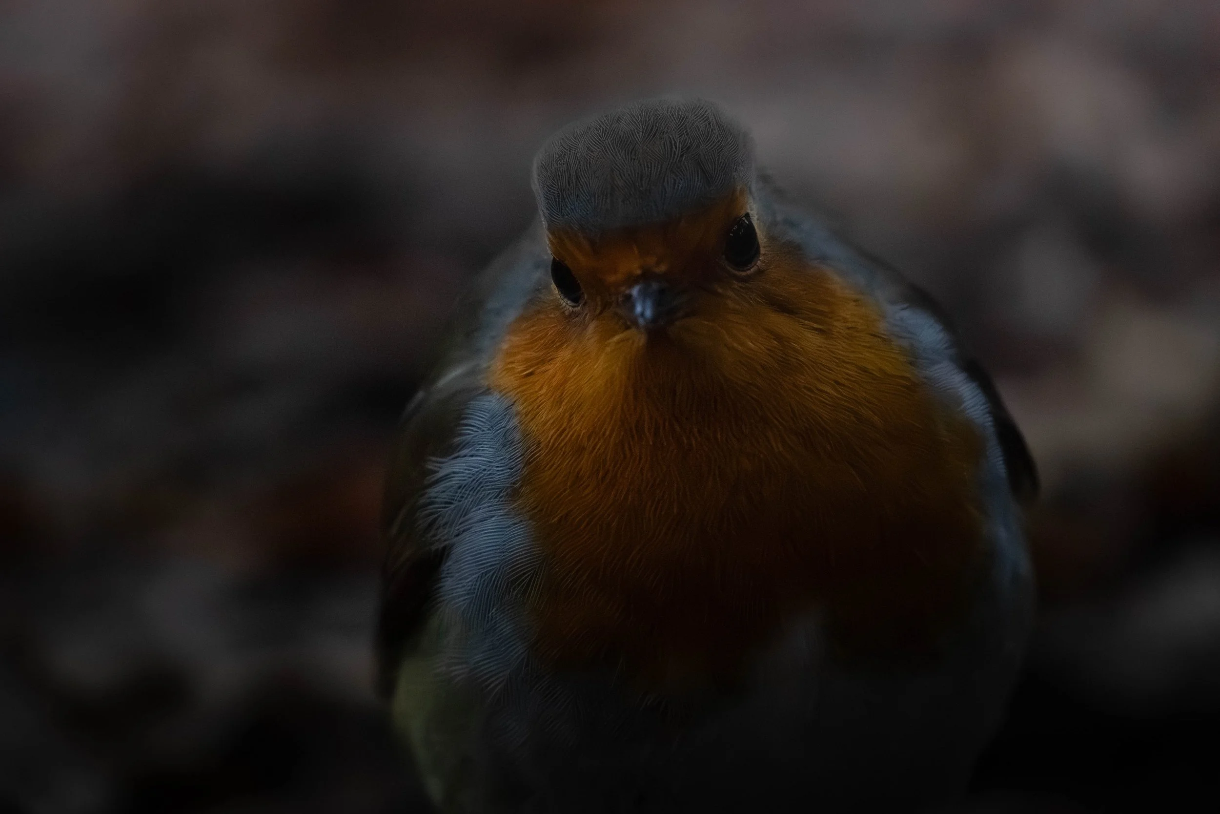 YWT Moorlands Nature Reserve