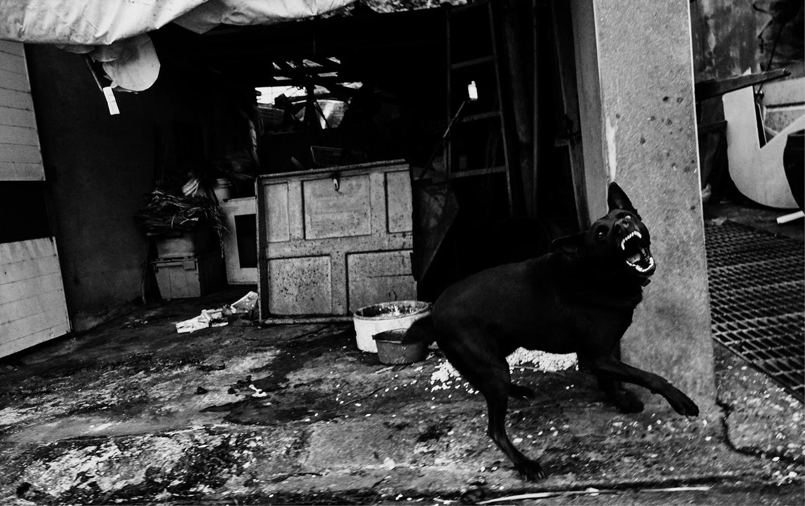 PHOTO-2026-02-10-12-02-05 (8).jpg