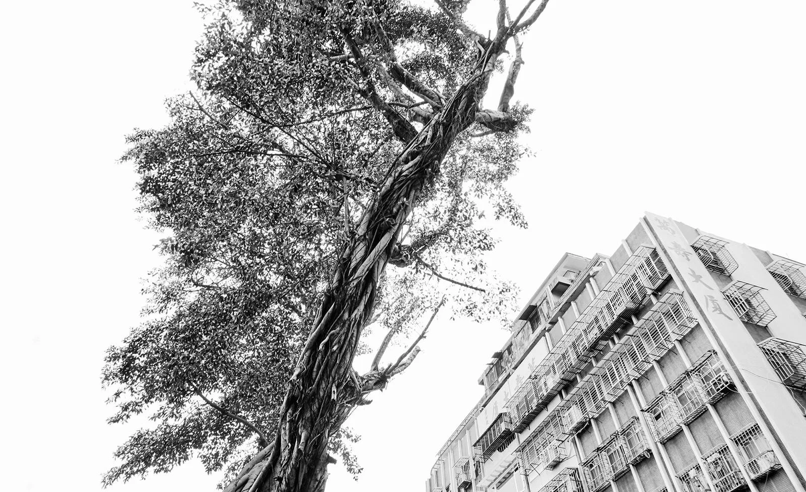 PHOTO-2026-02-10-12-02-05 (1).jpg