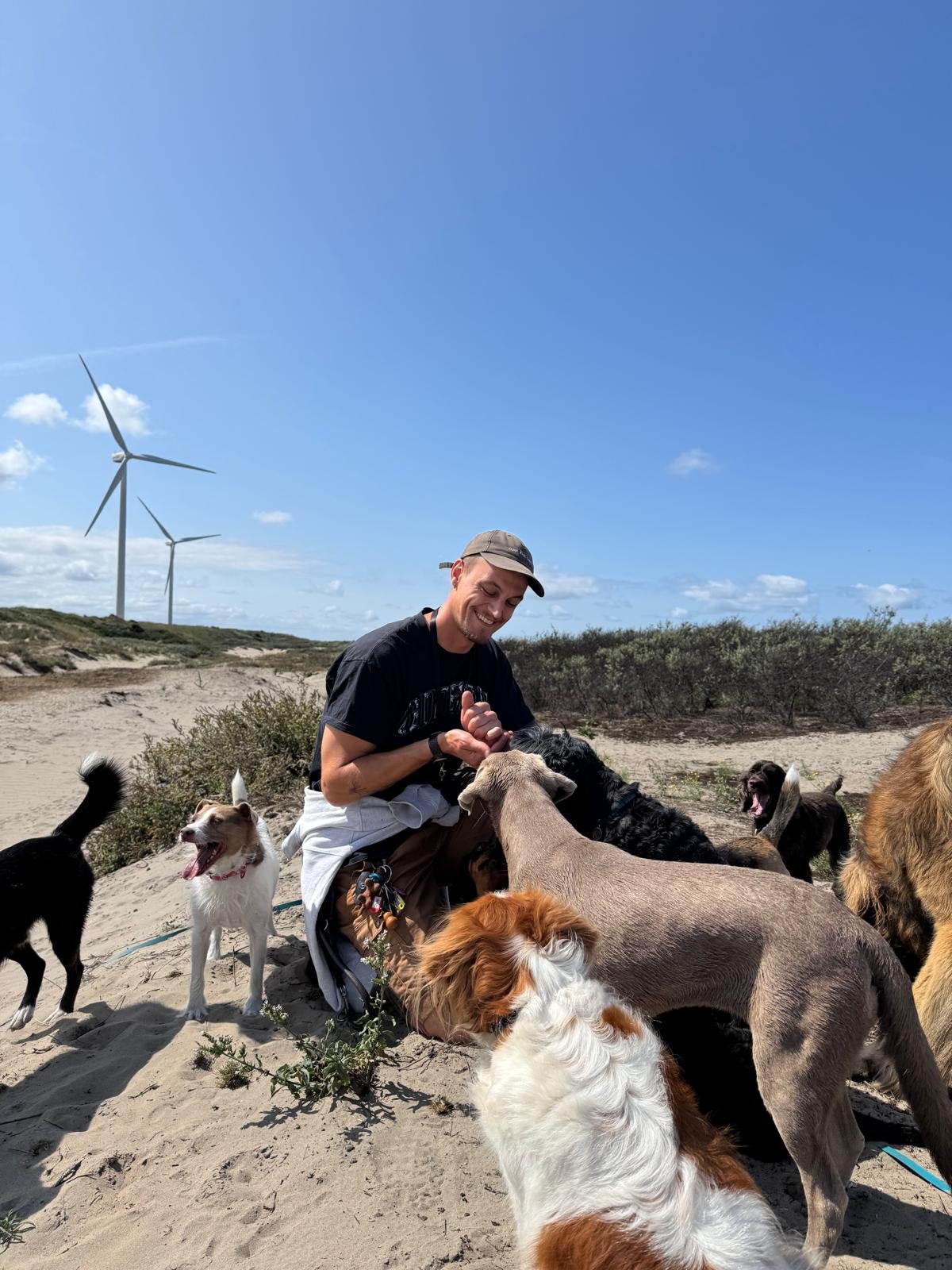 Een man knuffelt meerdere honden op een zandstrand onder een heldere blauwe lucht met windturbines op de achtergrond.