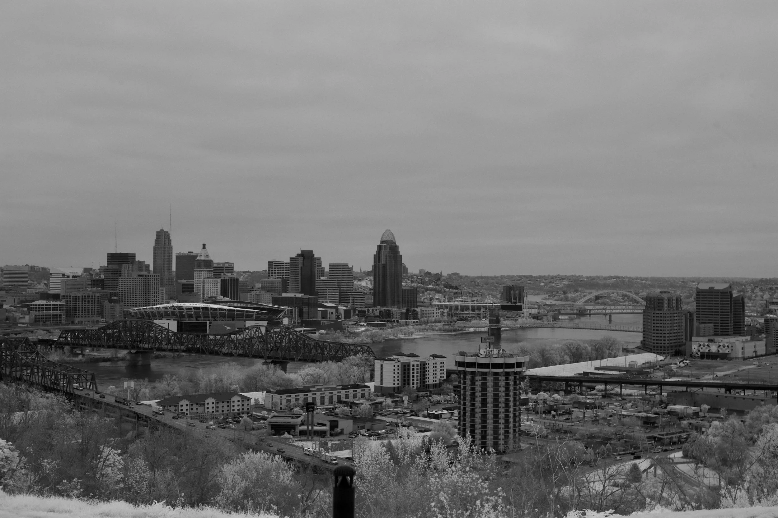 Black and white panoramic view of Cincinnati skyline with various tall buildings, bridges crossing the Ohio River, and trees in the foreground.
