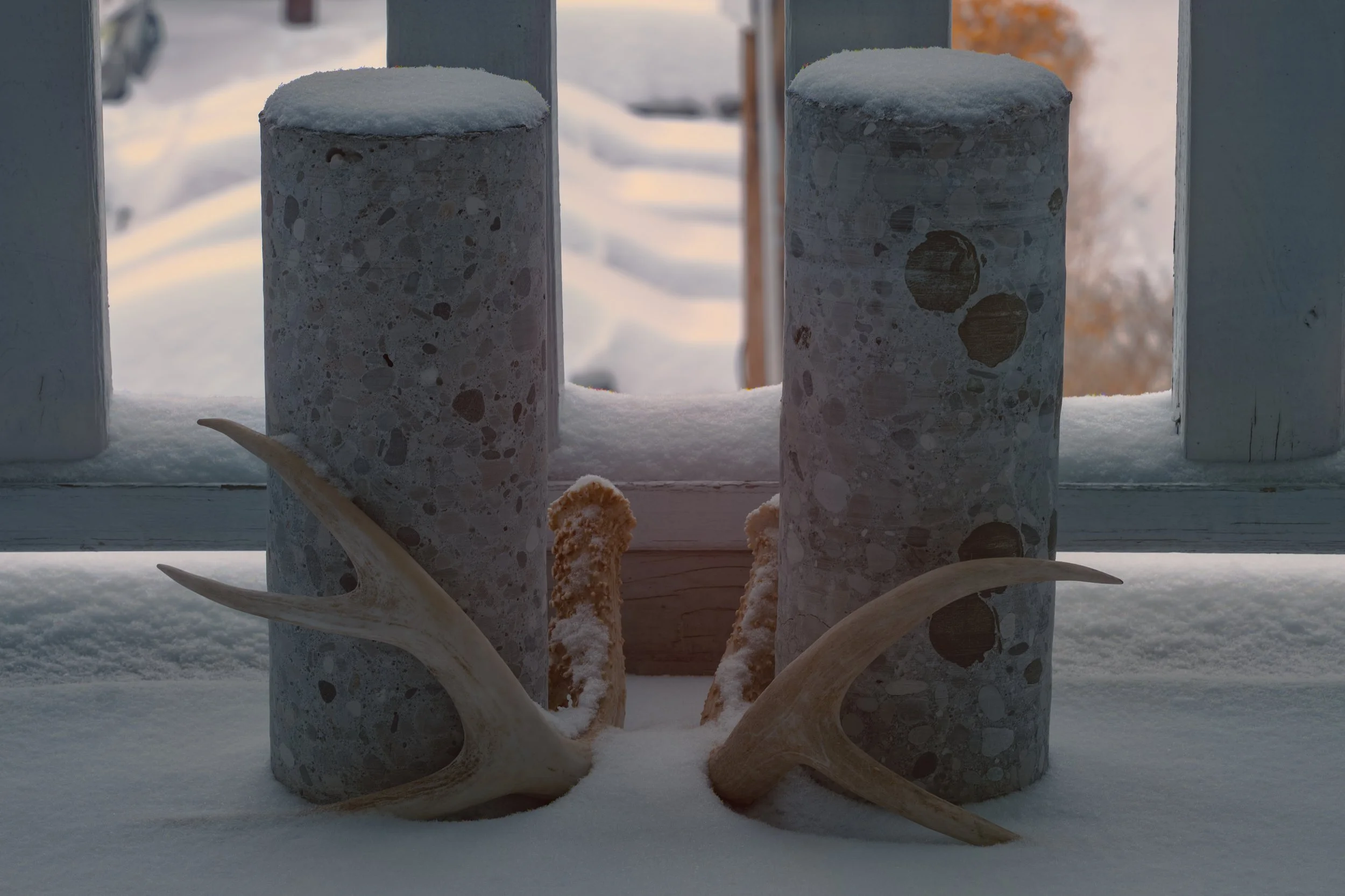 My Antlers 807 642 Red Sharp.JPG