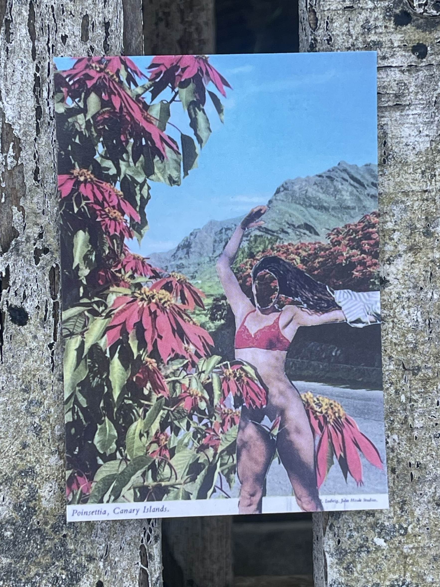 'My Flower', analogue collage, side A