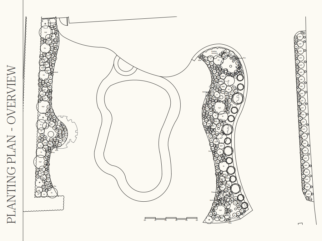 A landscape planting plan showing various trees and shrubs arranged along the borders and inside the area, with labels and a scale bar, titled 'Planting Plan - OverView'.