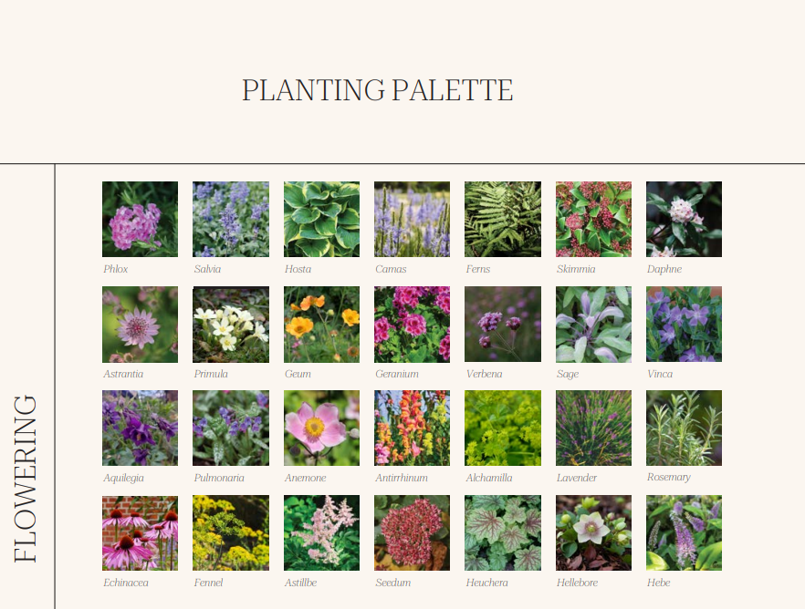 A planting palette featuring a grid of 20 different flowers and plants, each with a name label, including hydrangea, lavender, sage, and roses.