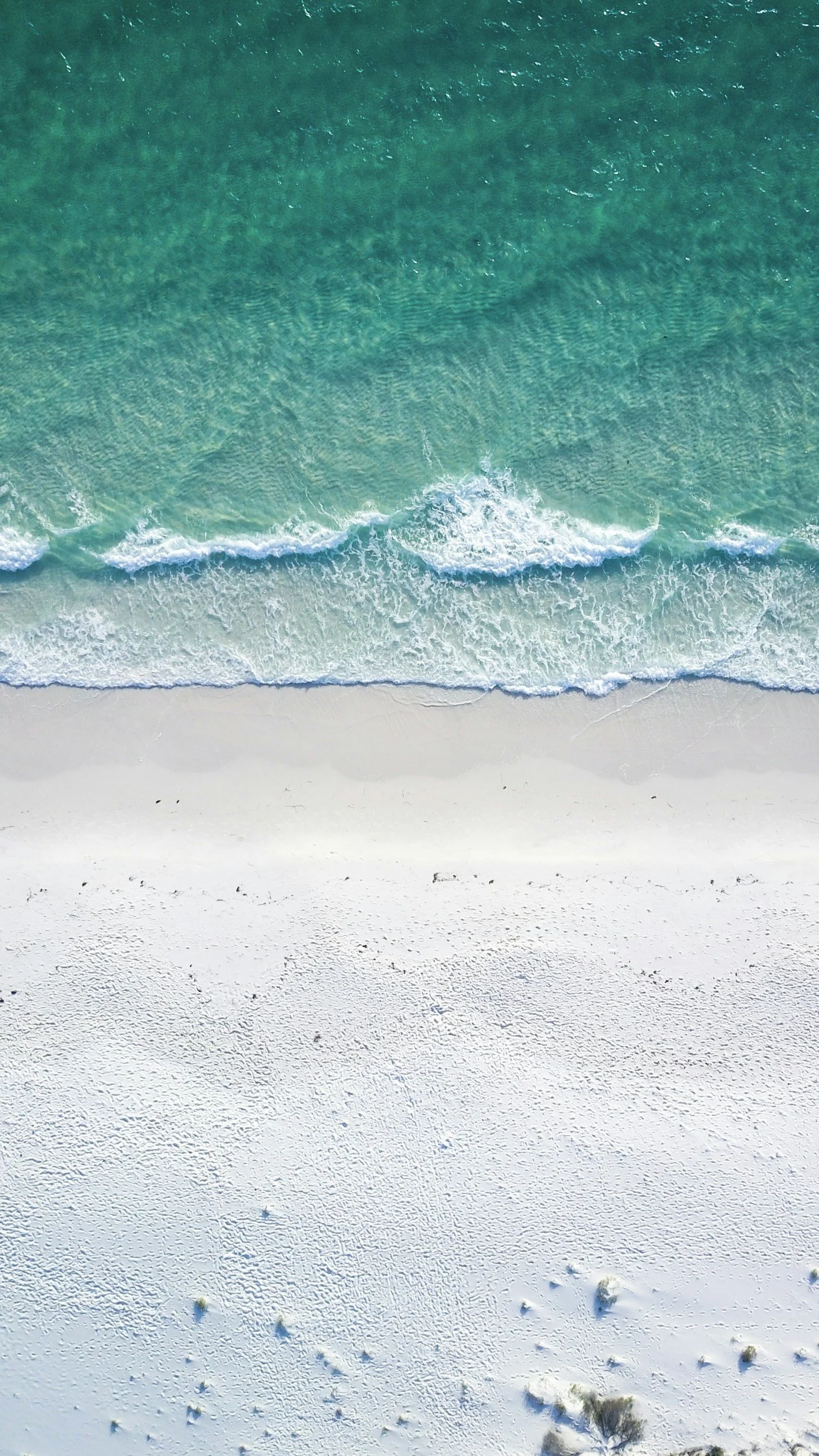 Aerial view of a beach with clear turquoise water and white sandy shoreline, with small plants scattered on the sand.