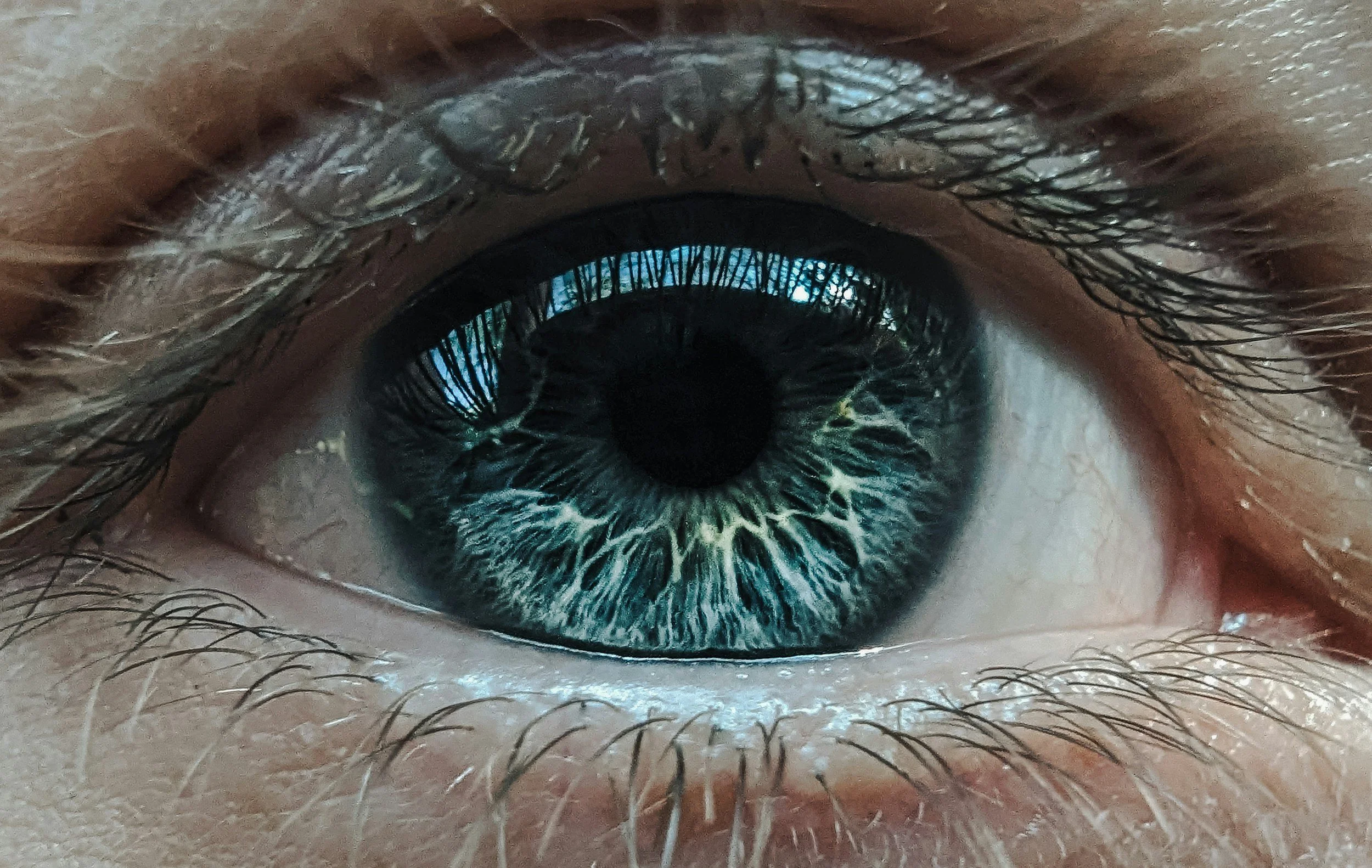 Close-up of a human eye with blue and green iris, surrounded by eyelashes and skin.