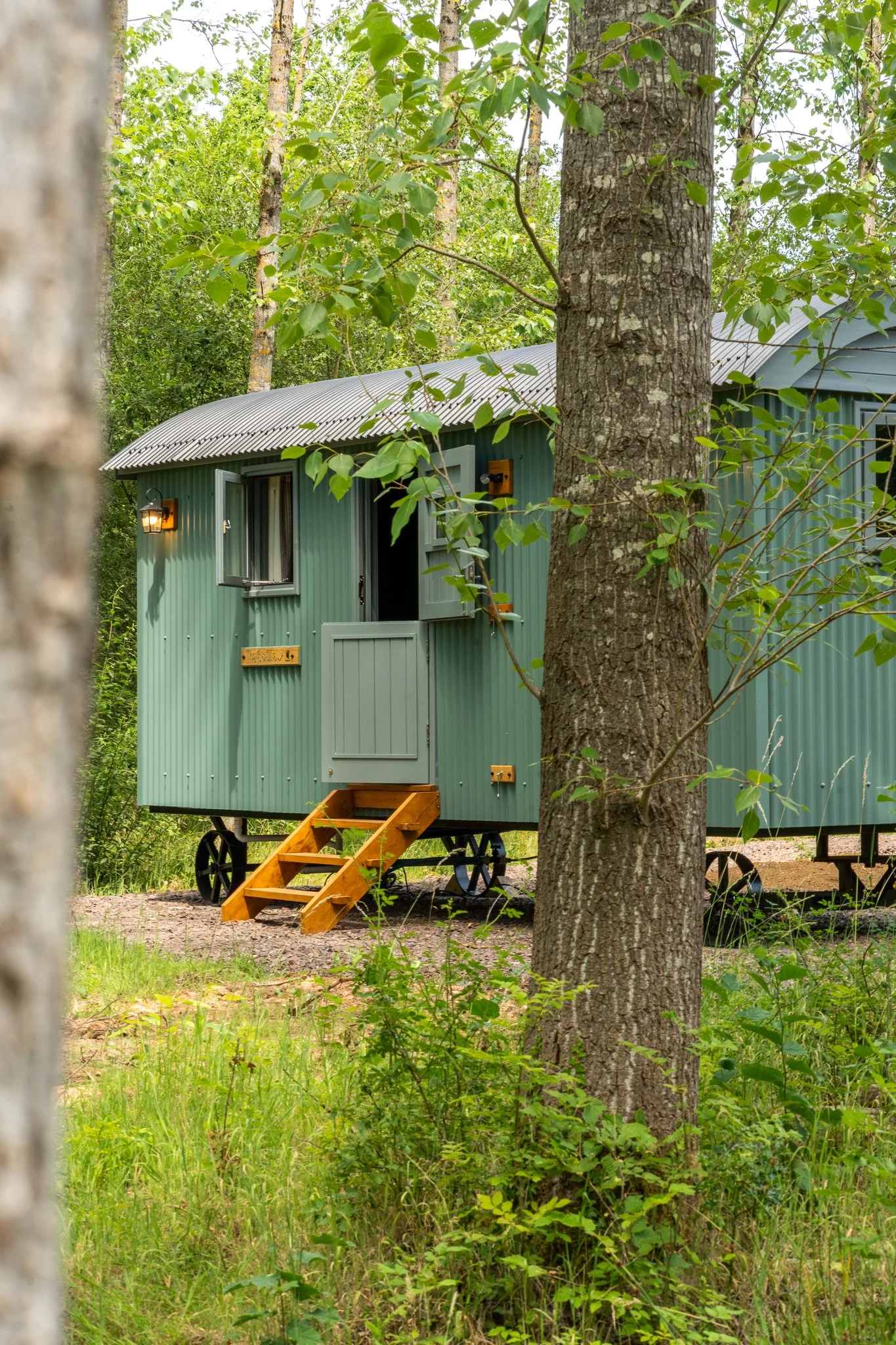 A small, green, B&B Shepherd Hut with a corrugated metal roof, with a small staircase leading to the entrance surrounded by trees and greenery.