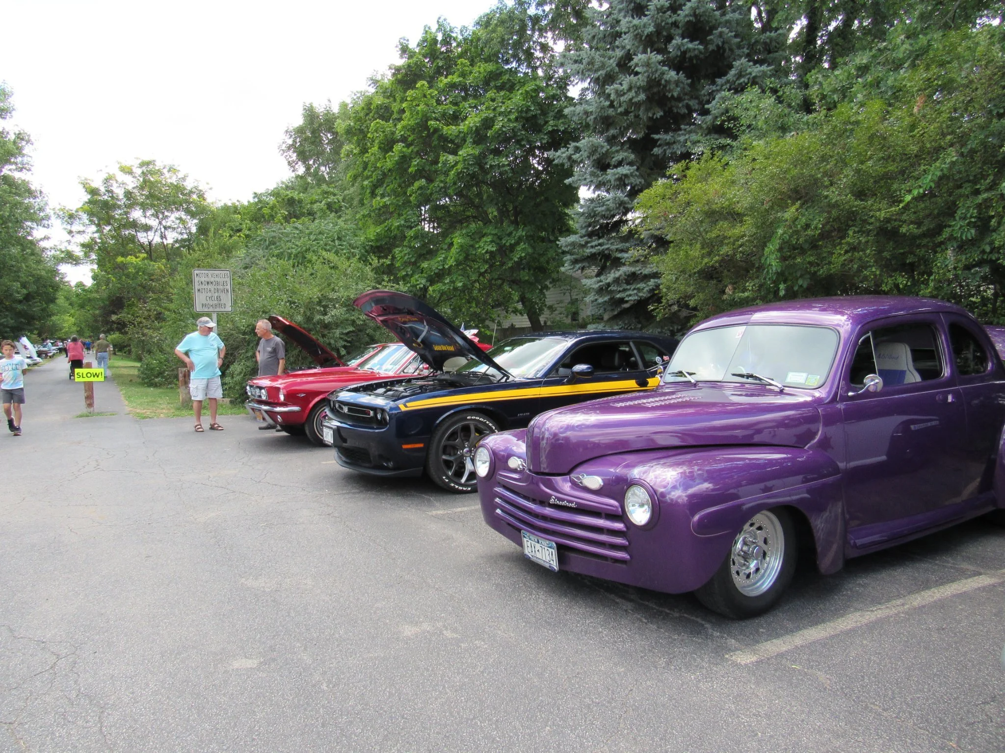 Cars and Canines Show