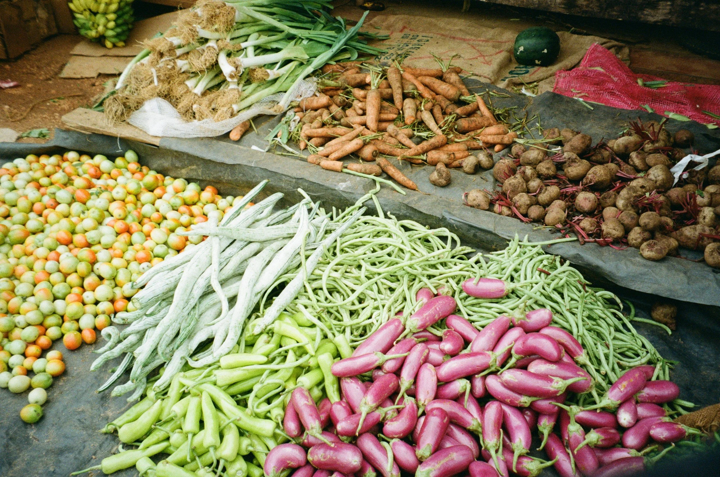 Farmer’s Market