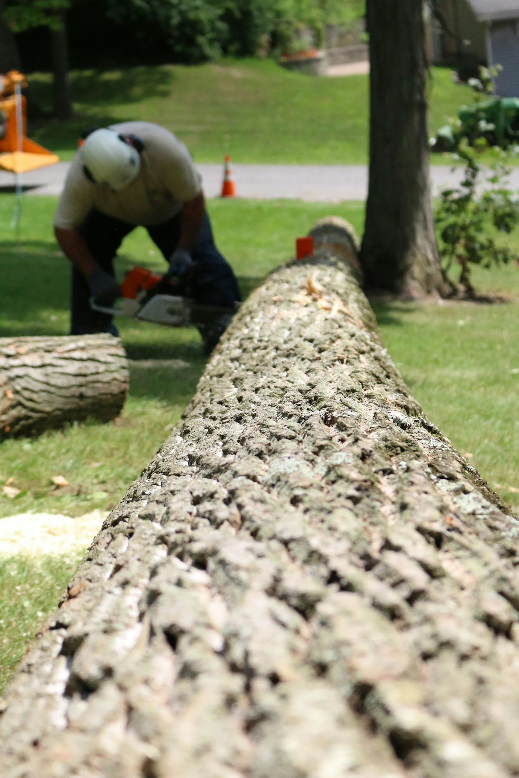 A person wearing a helmet and gloves using a chainsaw to cut a fallen tree trunk outdoors in a grassy yard, with trees and other logs nearby.