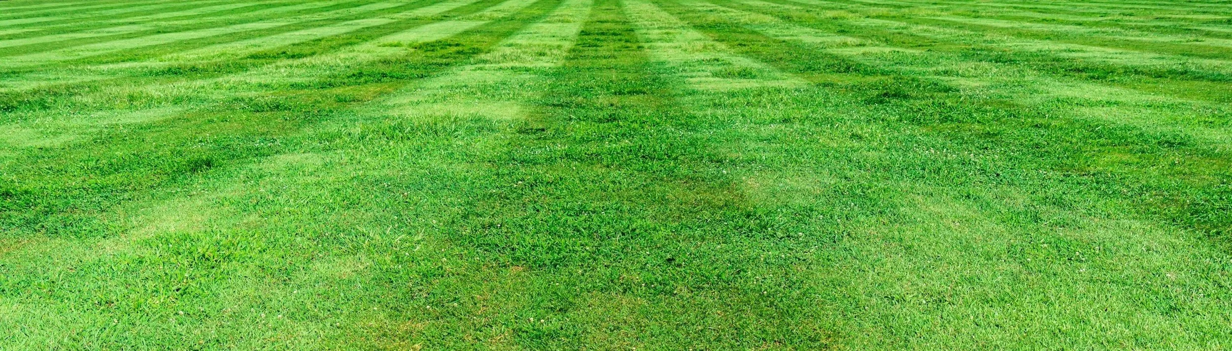 A green grassy field with neatly mowed stripes.