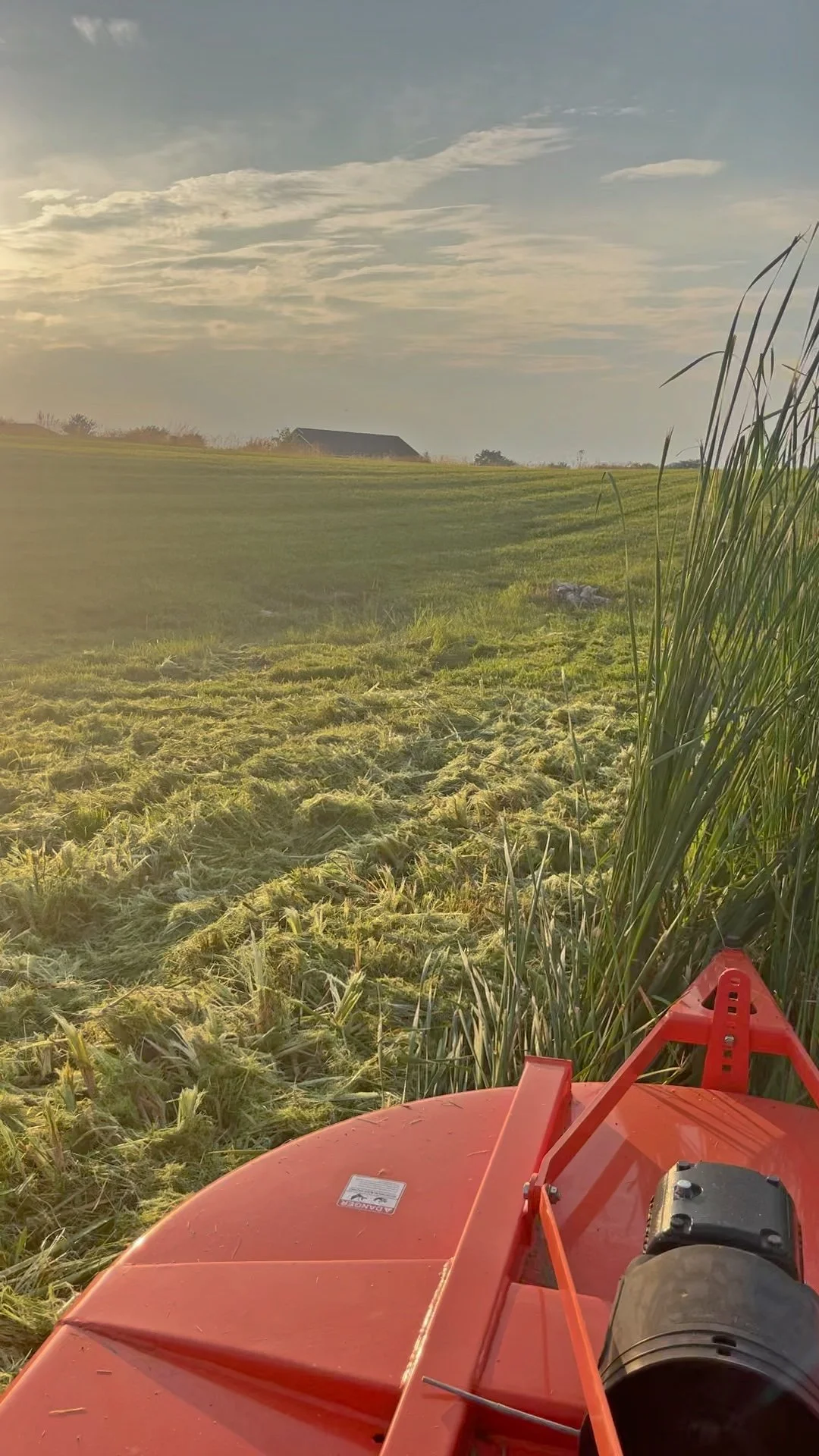 A field being mowed with a red lawn tractor, with grass and a barn in the distance under a sky with scattered clouds at sunset.