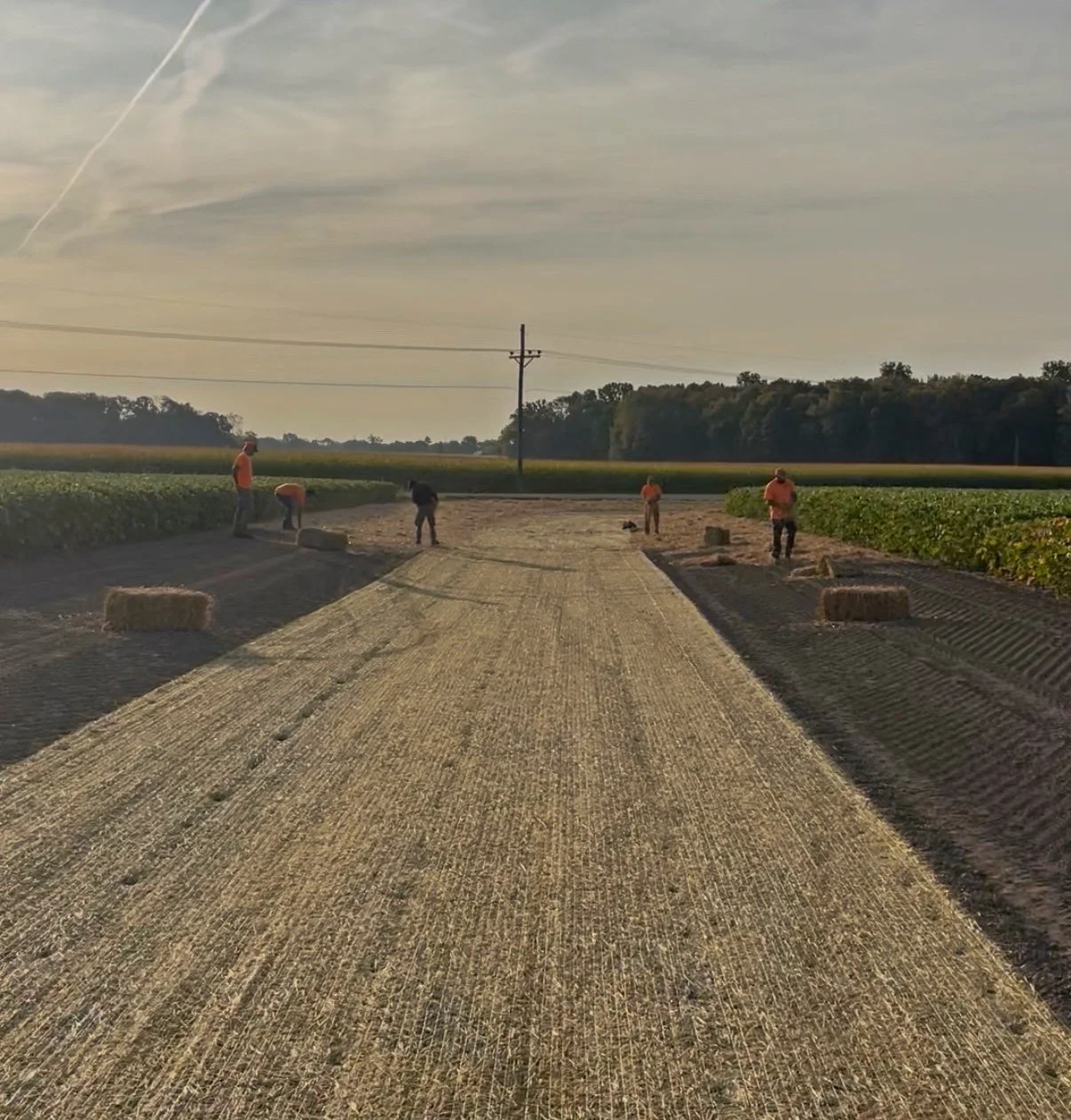People working on laying down a large straw mat on a rural farm road, surrounded by fields and trees, with some hay bales nearby, under a cloudy sky.