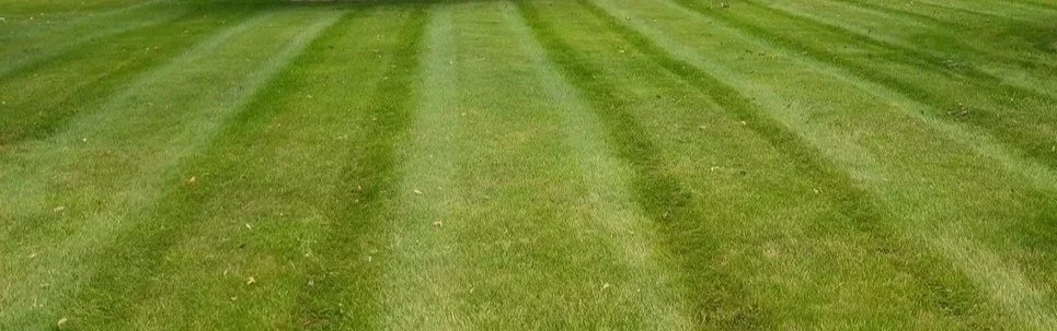 A well-maintained grassy lawn with alternating light and dark green stripes.