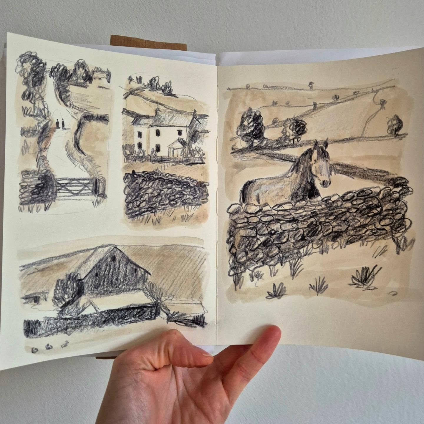 The last few weeks have been jam packed and I've not had the chance to draw. But I've got the dreaded autumn lurgy at the moment which has forced me to stop. And today...draw! Hurrah!

These are chickens and countryside vignettes are from @emmacarlis