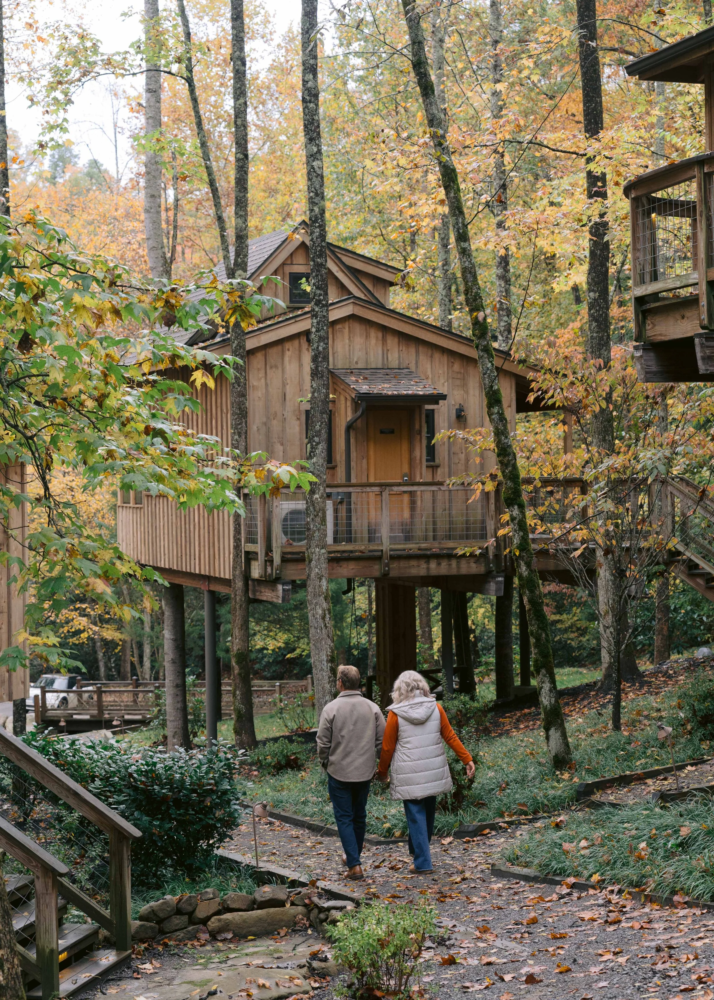 Treehouse Grove