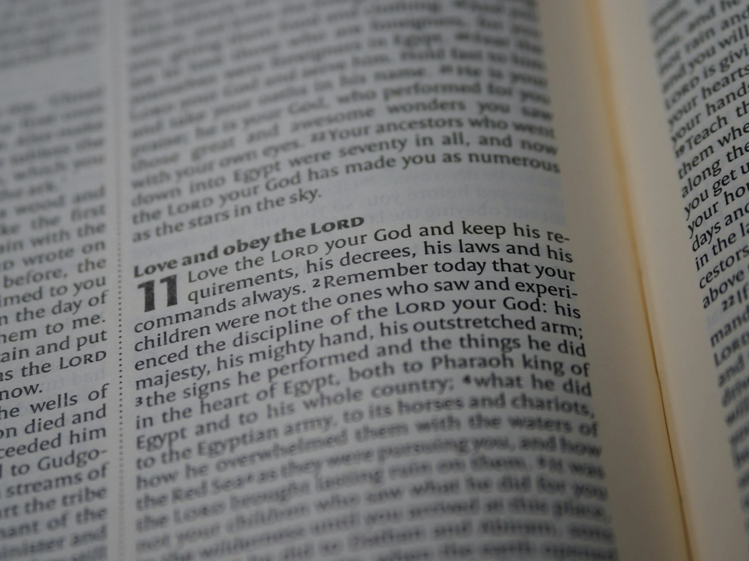 Close-up of a page from a Bible, with a focus on the heading 'Love and obey the Lord' and surrounding text.