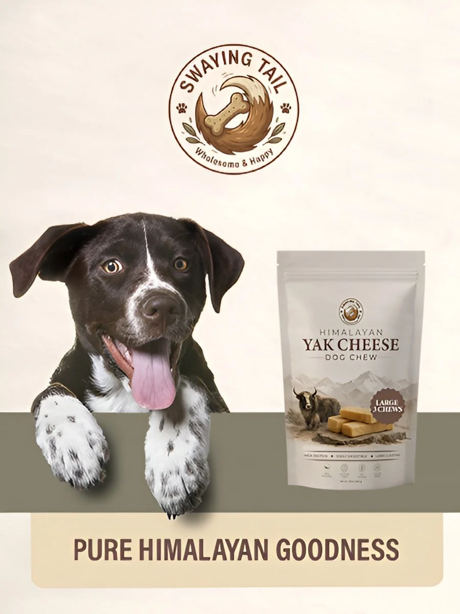 A puppy with its tongue out, resting on a table next to a bag of Himalayan Yak Cheese dog chews, with a logo above that reads 'Swaying Tail' featuring a wagging dog tail and a bone.