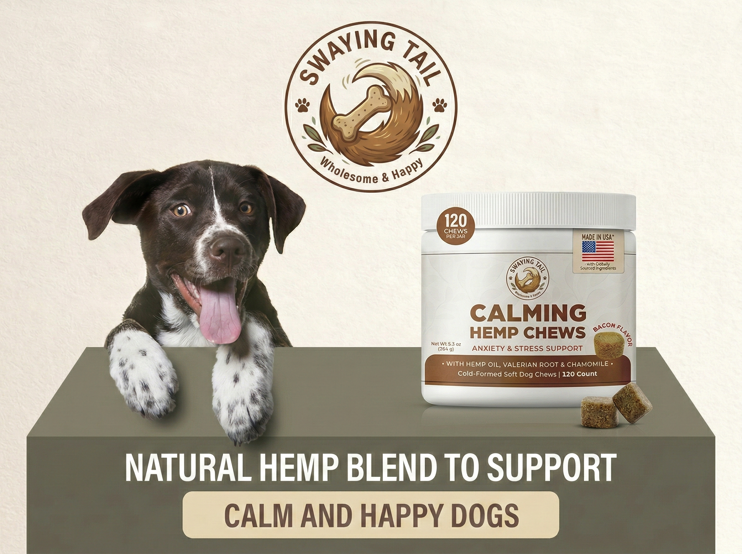 A black and white dog with spots on its paws and a pink tongue hanging out, sitting behind a table with a package of calming hemp chews nearby. The package indicates 120 chews per jar, features a logo with a tail and bone, and highlights calming, anx