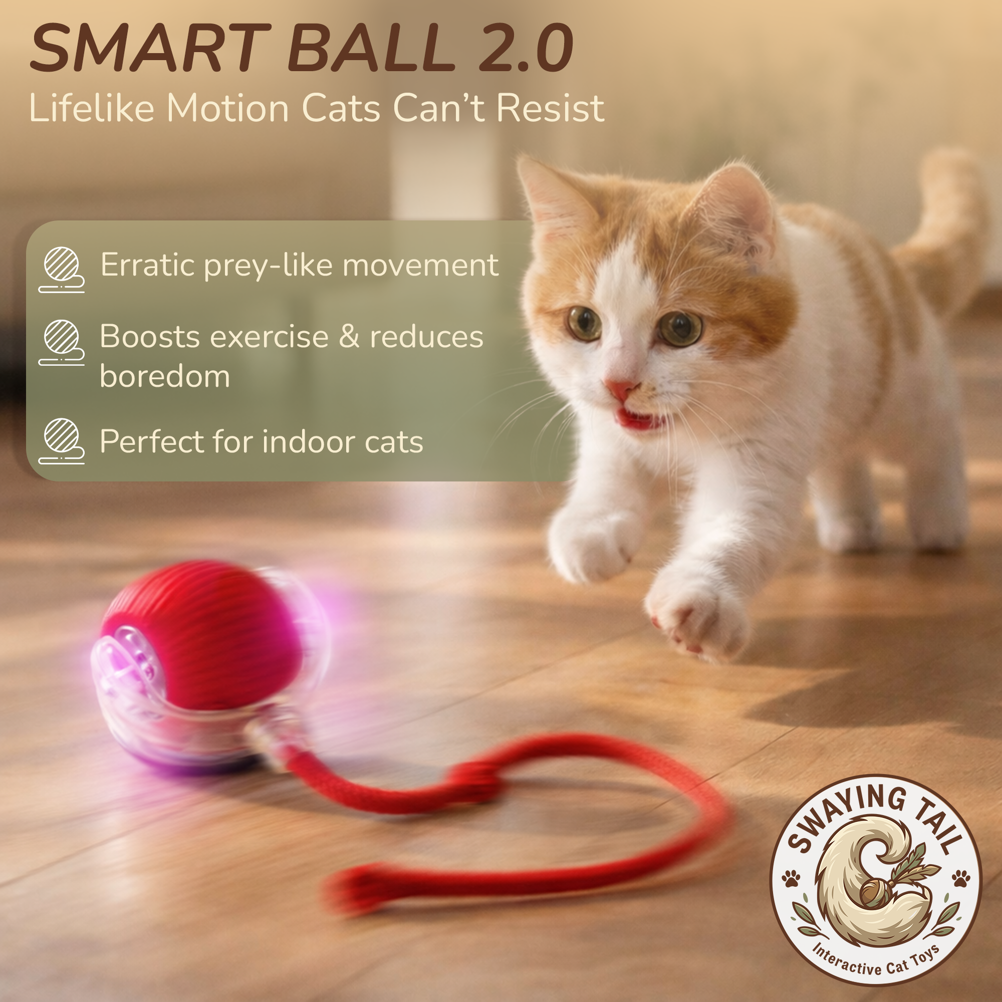 A kitten playing with a red interactive ball toy on a wooden floor, promoting the Swaying Tail Smart Ball 2.0 indoor cat toy.
