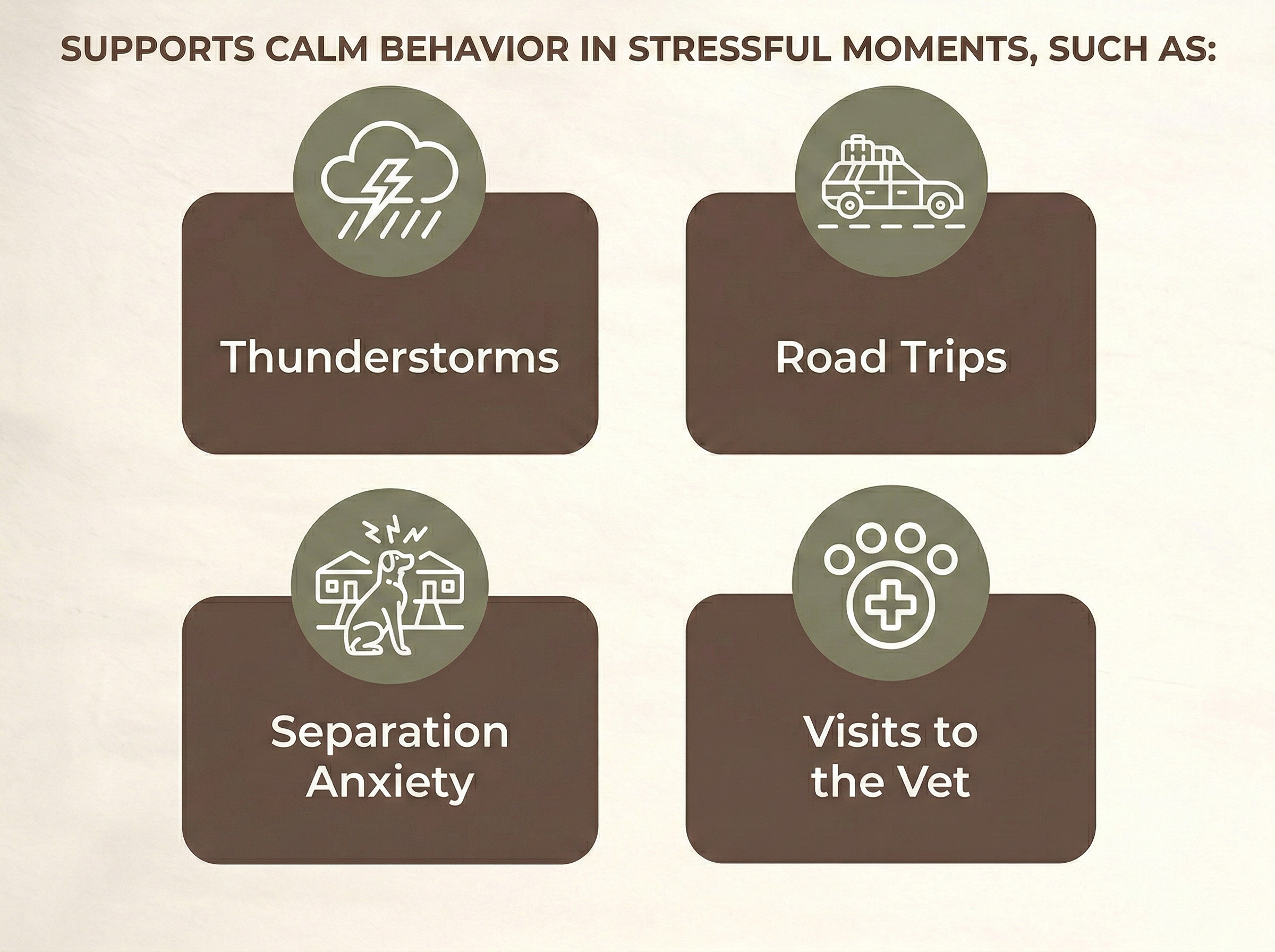 Chart showing ways to support calm behavior during stressful moments, including thunderstorms, road trips, separation anxiety, and veterinary visits.