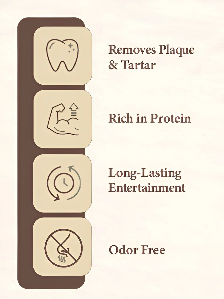 A promotional poster with icons and text highlighting benefits of a dental cleaning service, including removing plaque and tartar, being rich in protein, providing long-lasting entertainment, and being odor-free.