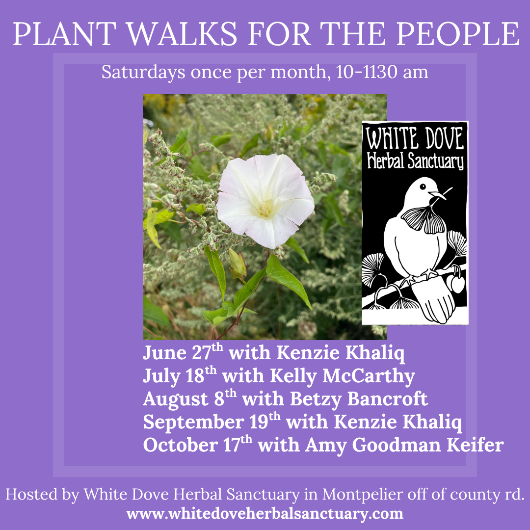 HERB WALKS FOR THE PEOPLE