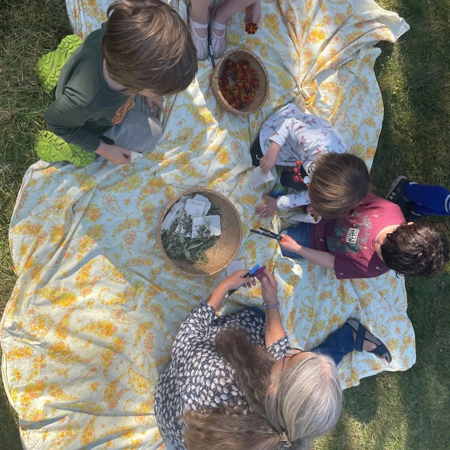 Story: Lavender and the Bees