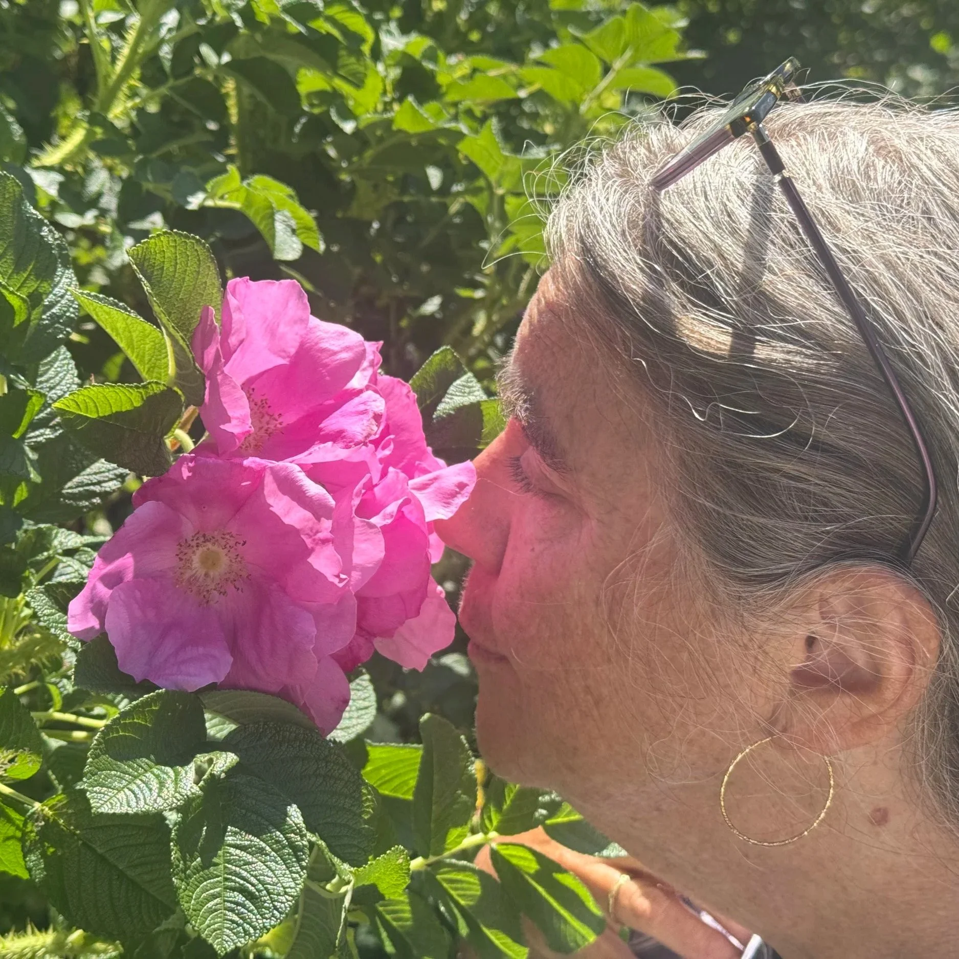 Our Senses: Tools of Connection