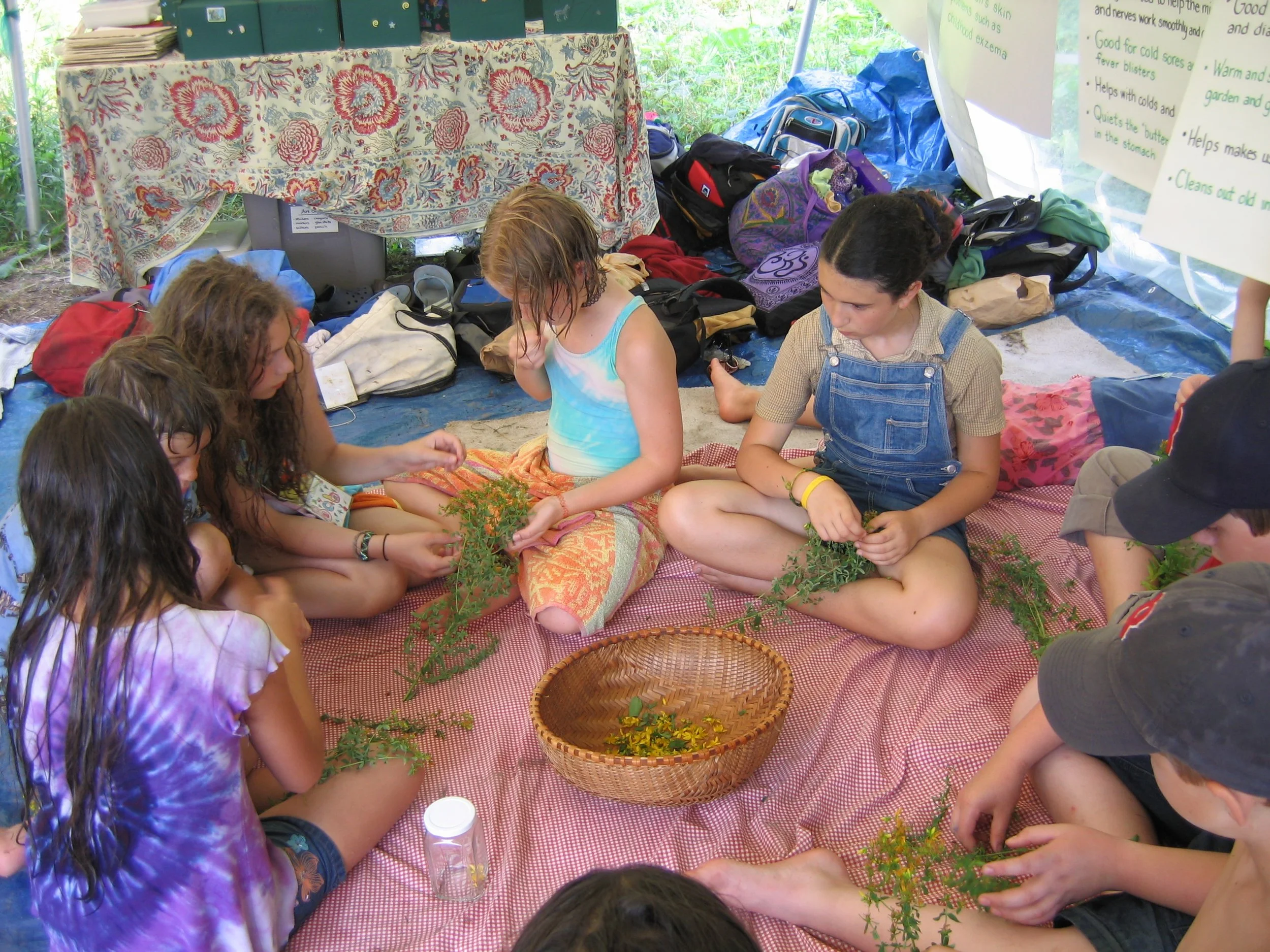 Kid's Herbal Festival!