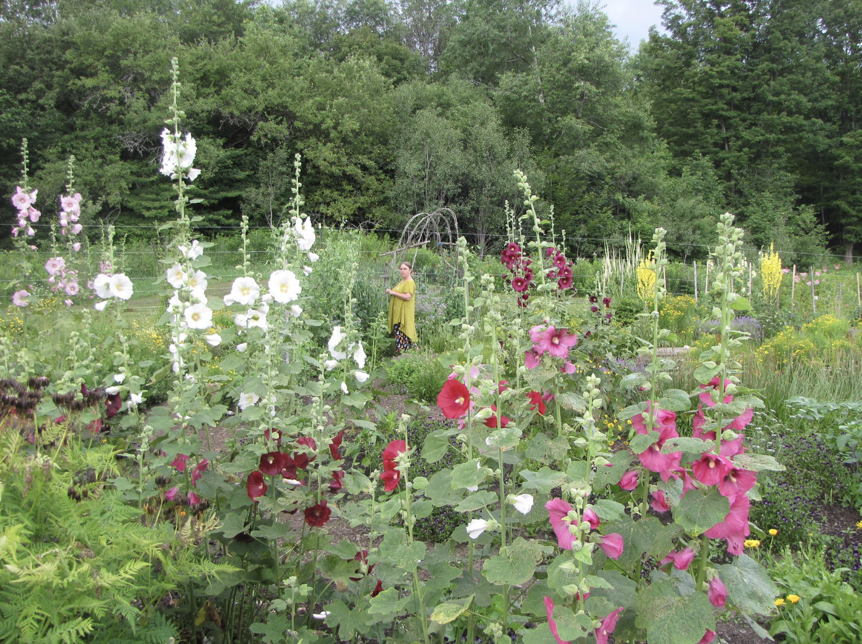 Screenshot 2026-03-25 at 9.27.36 AM.png