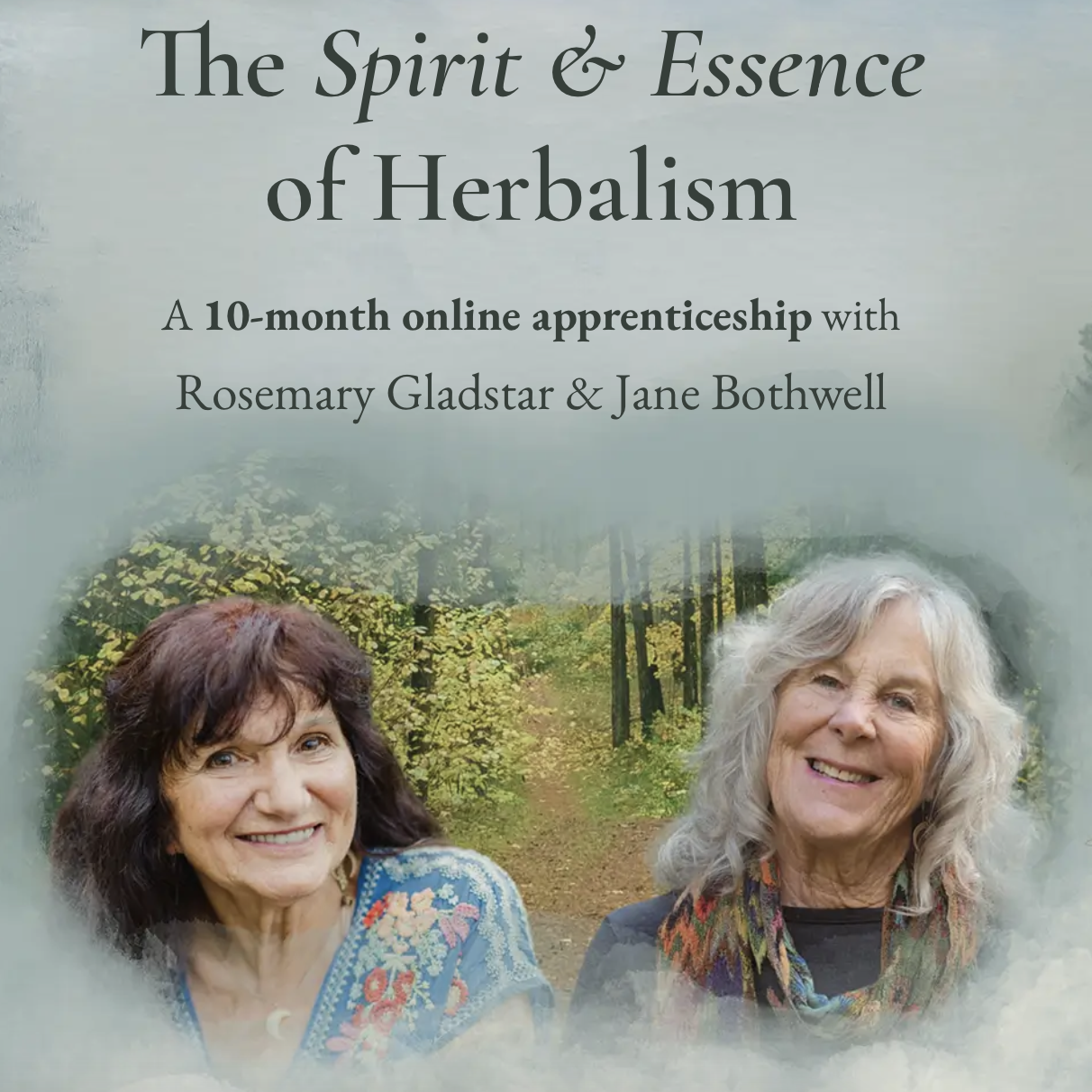 Rosemary & Jane's Herbal Apprenticeship
