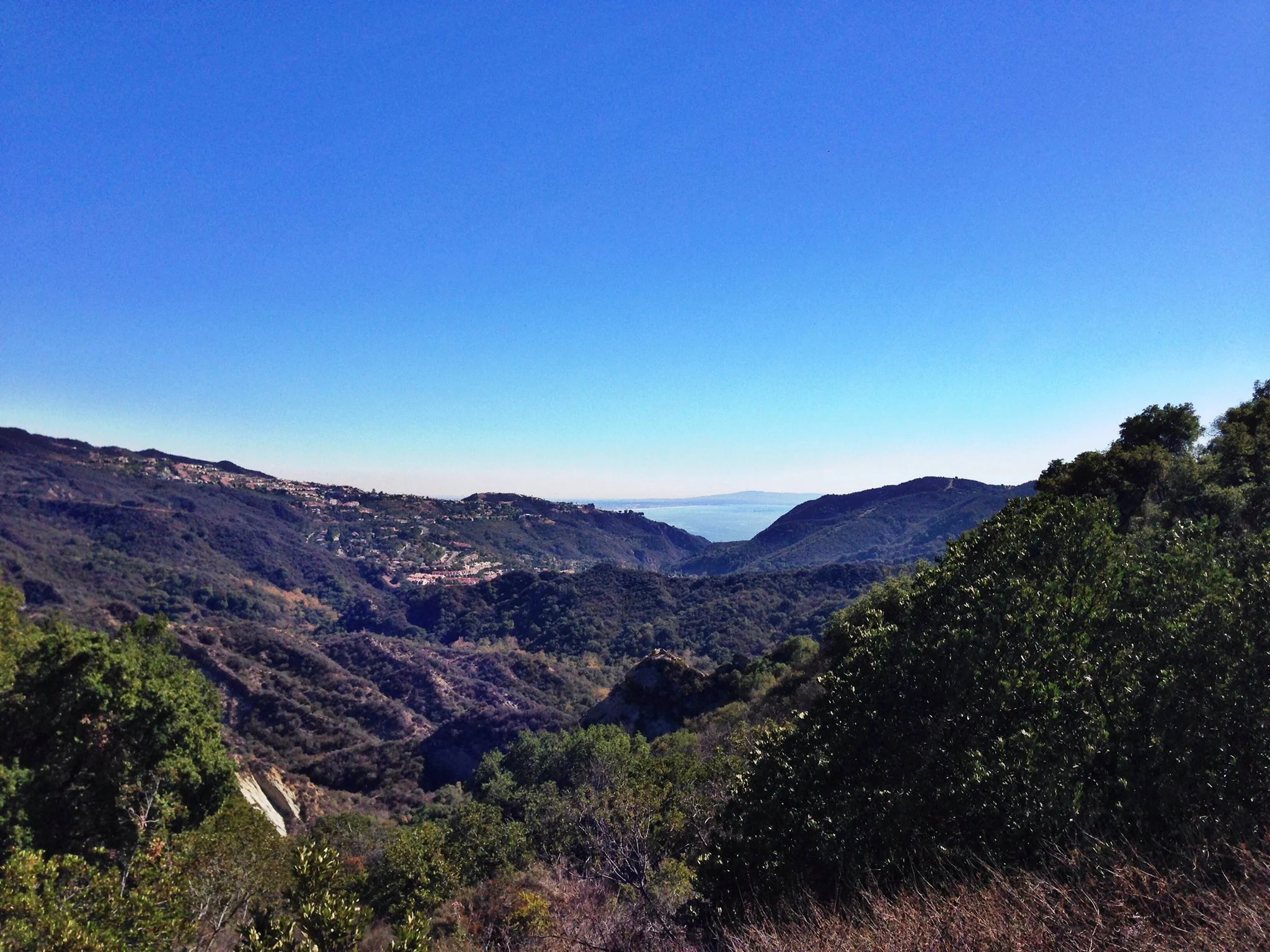 Los Angeles by Serita