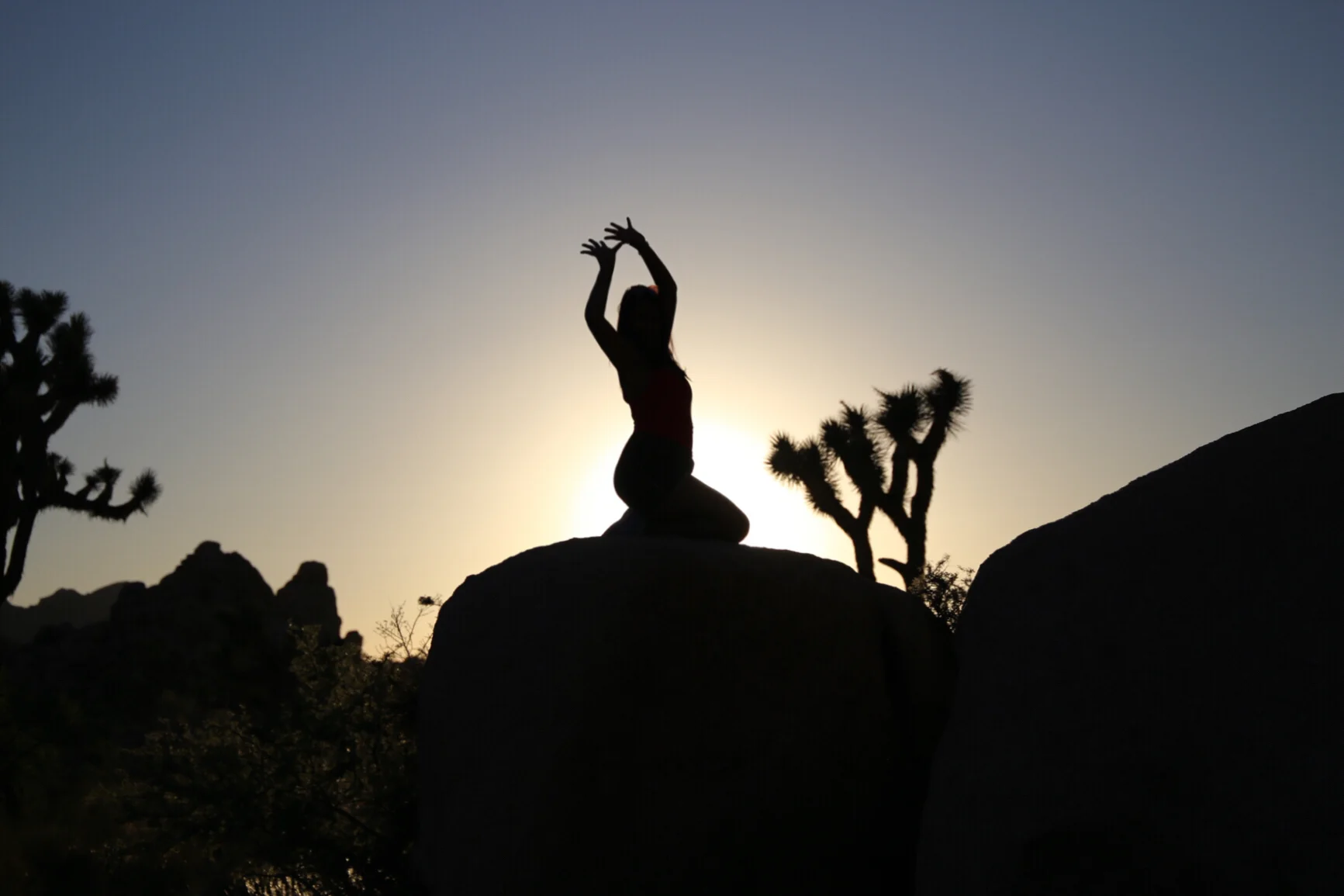 Joshua Tree National Park by Serita