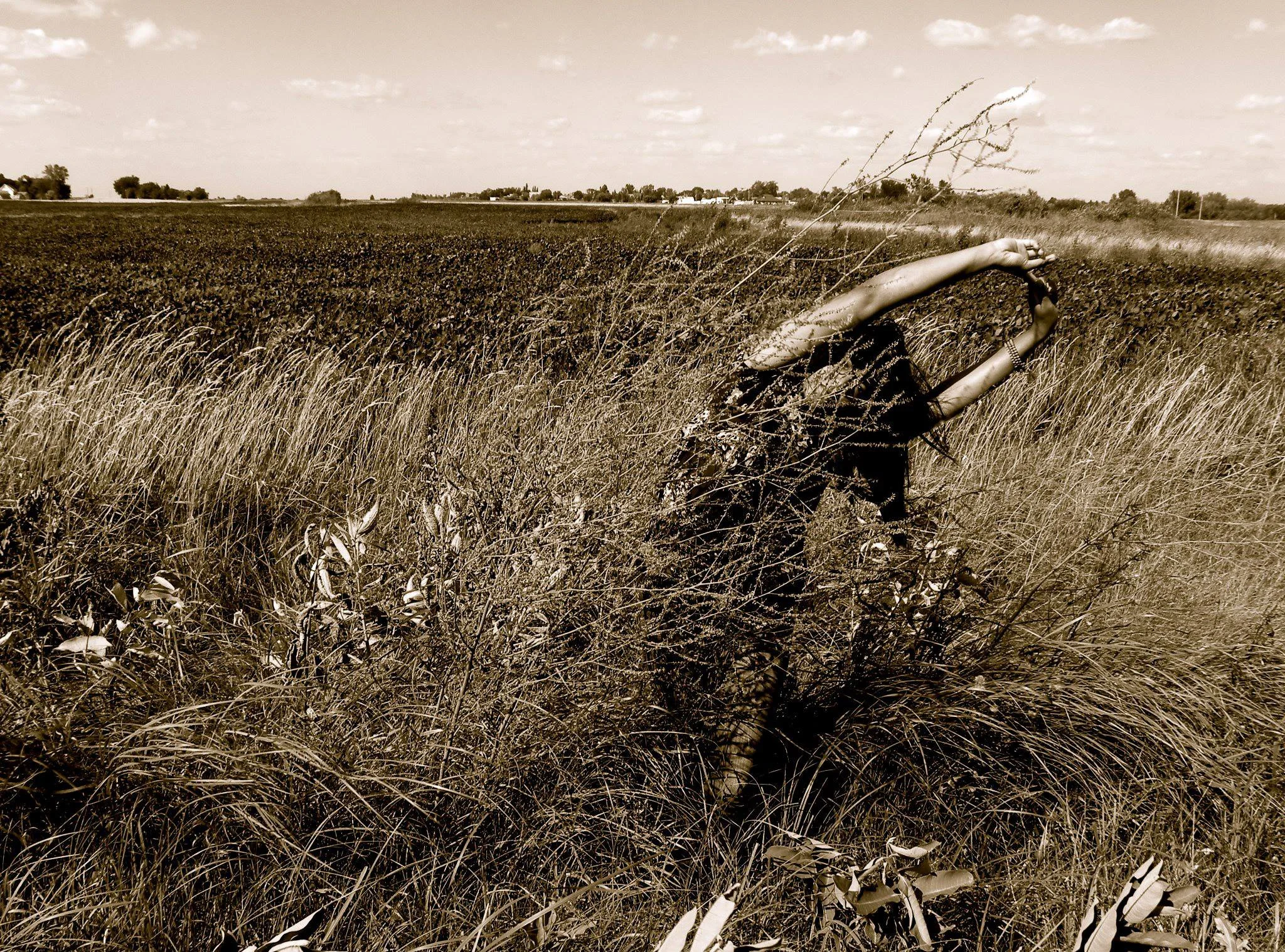 Photo by Serita at White Earth for Seed Sovereignty Research