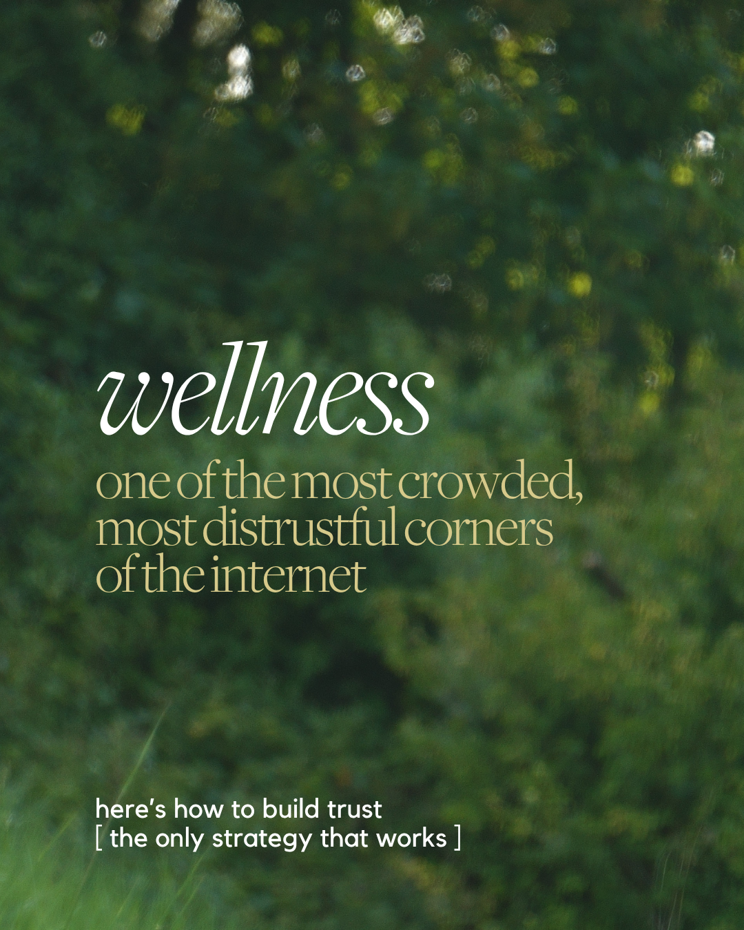 Marketing for Wellness Brands: Why Trust Is the Only Strategy That Works Long-Term