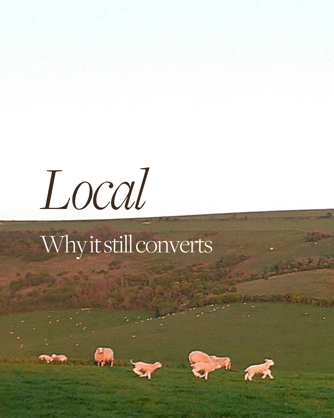 Brand Strategy for Sussex Businesses: Why Local Positioning Still Matters