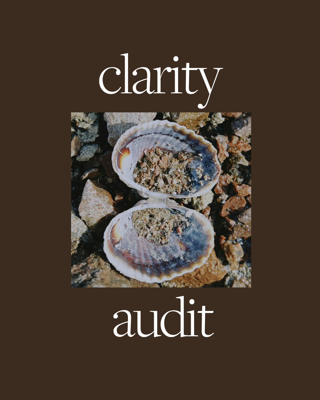The Clarity Audit