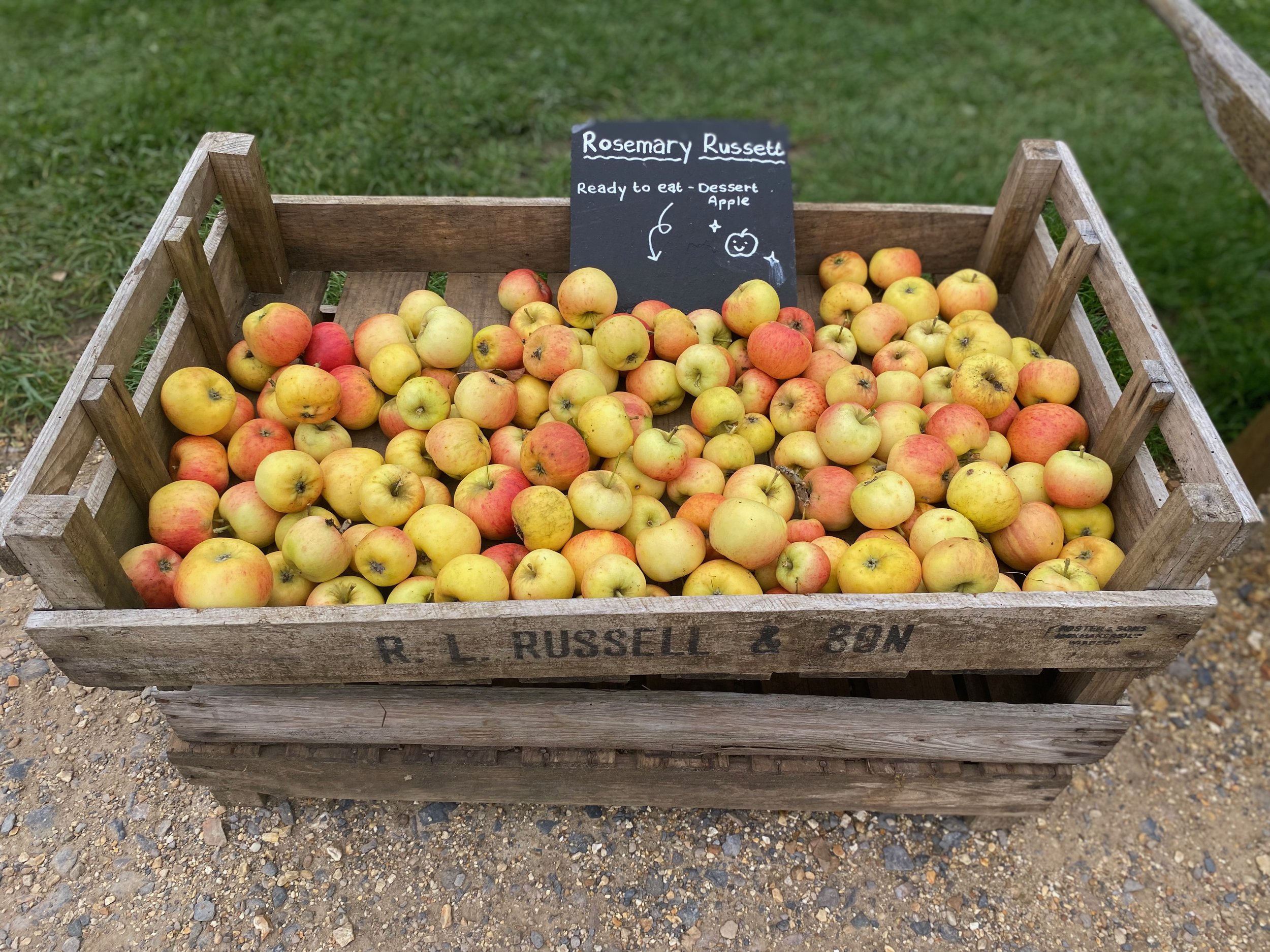 An apple a day … especially on 21 October