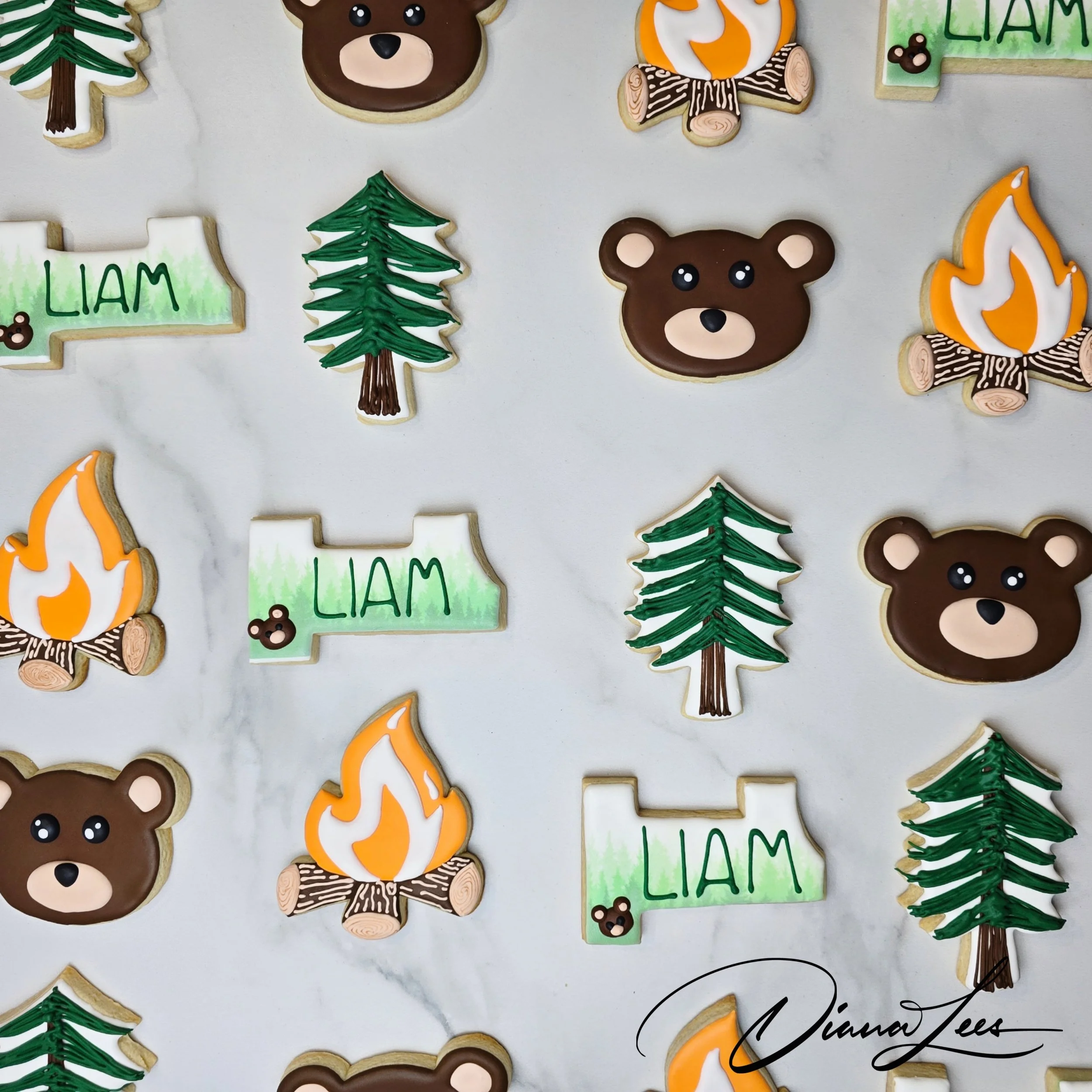 One_Happy_Camper_Cookies_Diana_Lee's_6.jpg