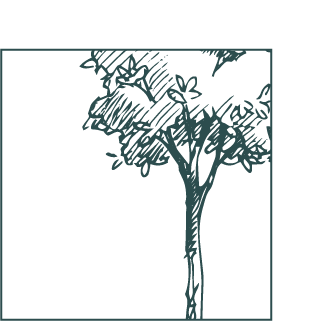 Árbol con ramas y hojas en una ilustración en línea.