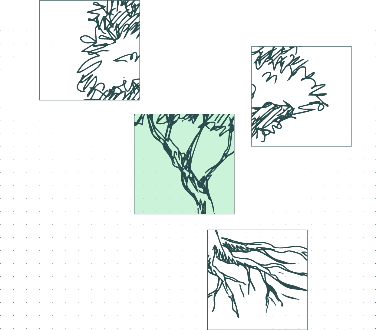 Diagrama dibujado a mano de un árbol con diferentes vistas, incluyendo las ramas, las raíces y el tronco, en un estilo esquemático y técnico.