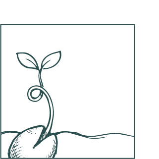 Ungido con agua y sembrado una planta en la tierra, simbolizando crecimiento y vida.